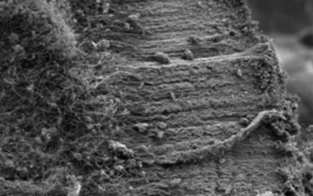Кварцевые волокна, с выращенными углеродными нанотрубками
