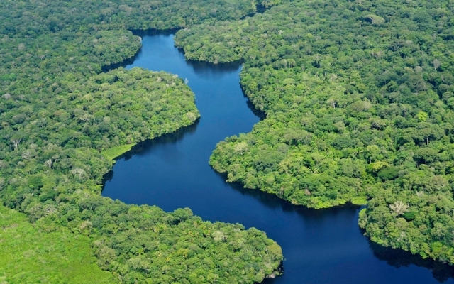 Вид с воздуха на тропический лес Амазонки