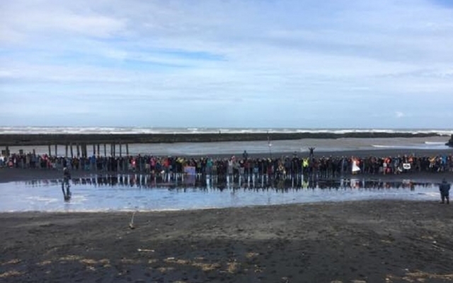 Вместе с Зелеными люди собрались и создали человеческую цепь на пляже Вайхи Хауэры.