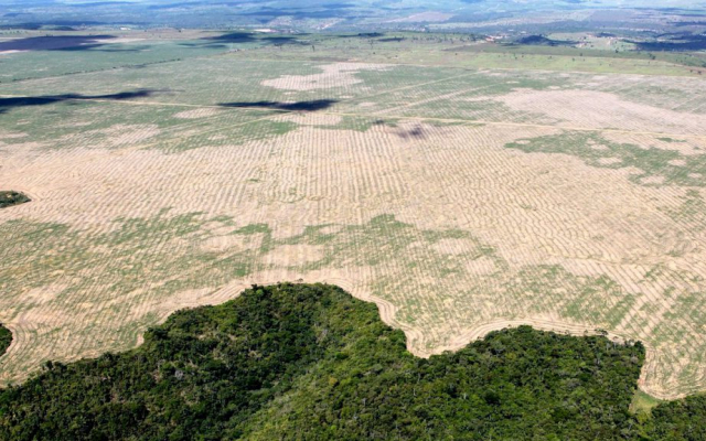 Вырубка лесов в штате Мараньян, Бразилия