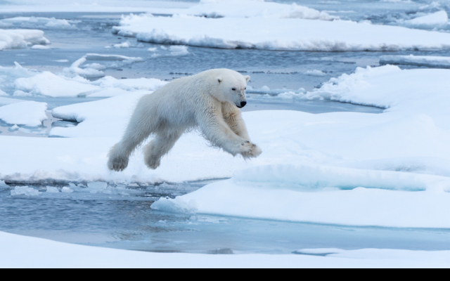 Арктический регион нагревается в два-три раза быстрее, чем в среднем по миру