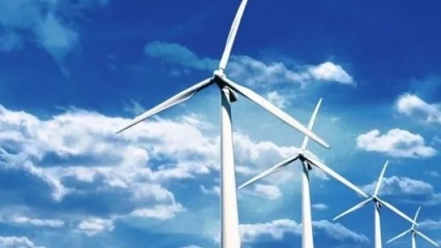 моніторингу оцінки впливу на довкілля