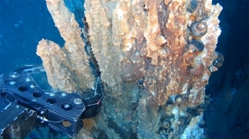 компания хочет выработать 50 млн тонн морского дна в год в течение 35 лет