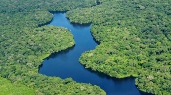 Вид с воздуха на тропический лес Амазонки