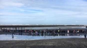 Вместе с Зелеными люди собрались и создали человеческую цепь на пляже Вайхи Хауэры.