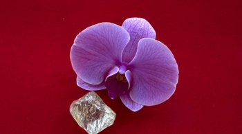 размеры алмаза 40х39х23 мм