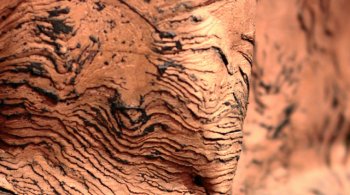 Война Китая с «чужим мусором» продолжается