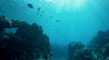 добыча глубоководных минералов