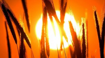 Изменение климана