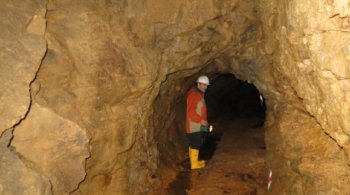 металлы, золото