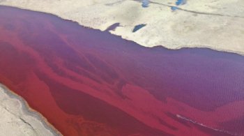 Норникель сообщил, что в ходе работ по очистке топлива было удалено 33 237 кубометров загрязненной воды и 185 102 тонны загрязненной почвы 