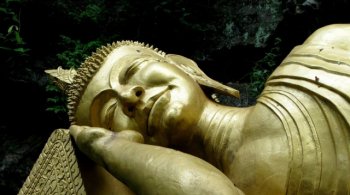 Золотые инвесторы в стране грез